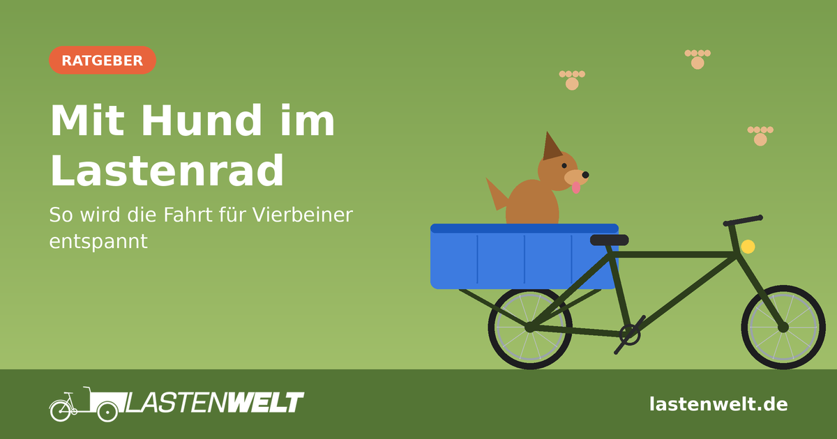 Mit Hund im Lastenrad – so wird die Fahrt für Vierbeiner entspannt