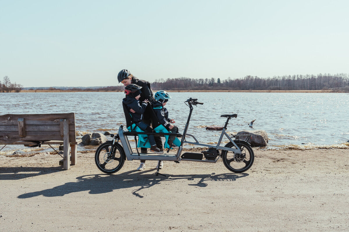 Johansson Gunnar: Das einspurige Lastenrad für maximale Flexibilität